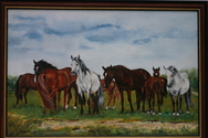 New%20Forest%20Ponies (thumbnail)