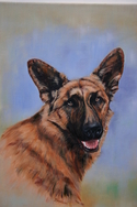 Rescued%20Dog (thumbnail)