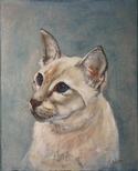 Siamese%20Cat%20Sydney (thumbnail)