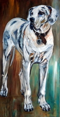 Harlequin%20Great%20Dane (thumbnail)