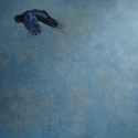 Raven (thumbnail)