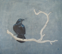 Raven%202 (thumbnail)