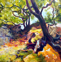 Woodland Field