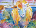 Grafton Sheep