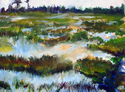 Assateague 4