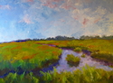 Chincoteague Marsh