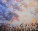 Winter Sky