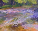 Bucks Co. River