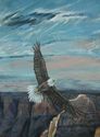 Eagle%20Spirit (thumbnail)