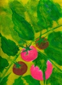 FRUIT%20AND%20VINE (thumbnail)
