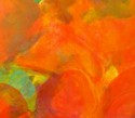 IMPATIENS-Detail (thumbnail)