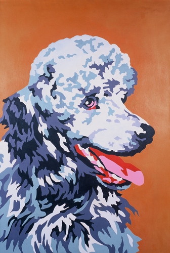 Painting-paint-by-number-poodle