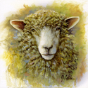 Painting--Oil-AnimalsArmani