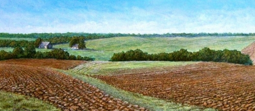 Potato%20fields%20near%20Marijampol%C4%97s%20Lithuania (thumbnail)