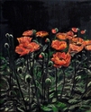 Papaver%20Orientale%20 (thumbnail)