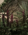Secret%20Garden%20Wall (thumbnail)