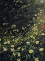 Jamaica%20Primrose (thumbnail)