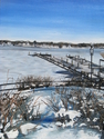Icy%20Navesink (thumbnail)