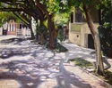 Brick%20Streets%20of%20Charleston (thumbnail)