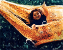 Charlotte Charlotte (thumbnail)
