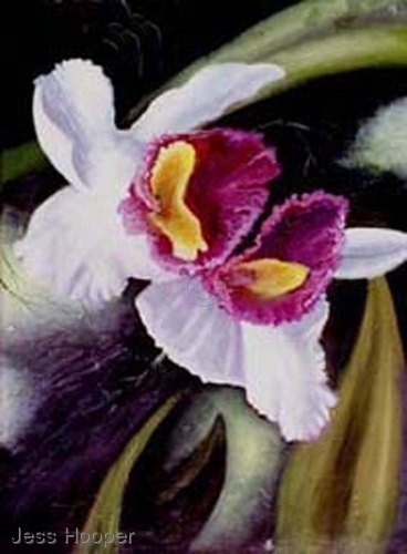 Painting-Afternoon Orchid