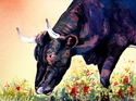 Bull%20in%20the%20Flowers (thumbnail)