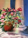 Hydrangea (thumbnail)