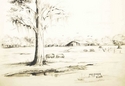Drawing--Pencil-LandscapeCYPRESS CREEK