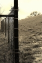 Post (thumbnail)