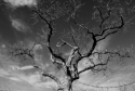 Outreach (thumbnail)