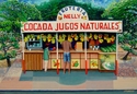Painting--Acrylic-SymbolismFruteria Nelly<br><font size=-2>2009</font><br><font size=-2>Acrylic on board</font>