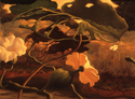 The Gourd Blossoms