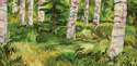 Aspens