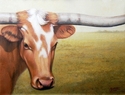 Longhorn