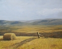 Early Fall