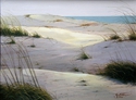 Sea Oats