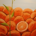 Not a Citrus