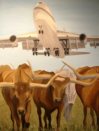 Herding Longhorns
