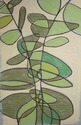 Eucalyptus Seven