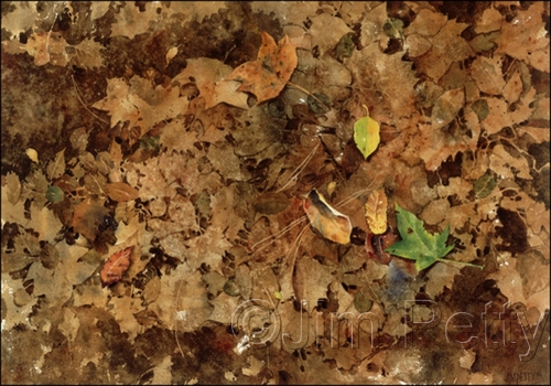 Autumn Leaves