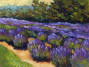 Lavender Fields Series 2- Endless