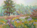 Misty Meadow