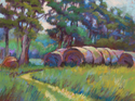 Round Bales at Sharp's Farm