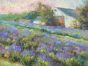 Lavender Morning