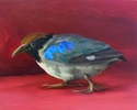 Balefire (Ant Pitta)