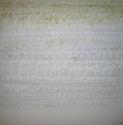 White Noise White%20Noise (thumbnail)