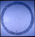 Big%20Wheel%20of%20Life (thumbnail)