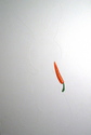 White Rabbit in a Snowstorm White%20Rabbit%20in%20a%20Snowstorm (thumbnail)