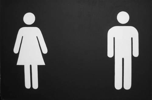 Women%20and%20Men%20Divided (large view)
