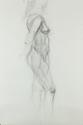 Drawing%20of%20Robin%20Skylar (thumbnail)